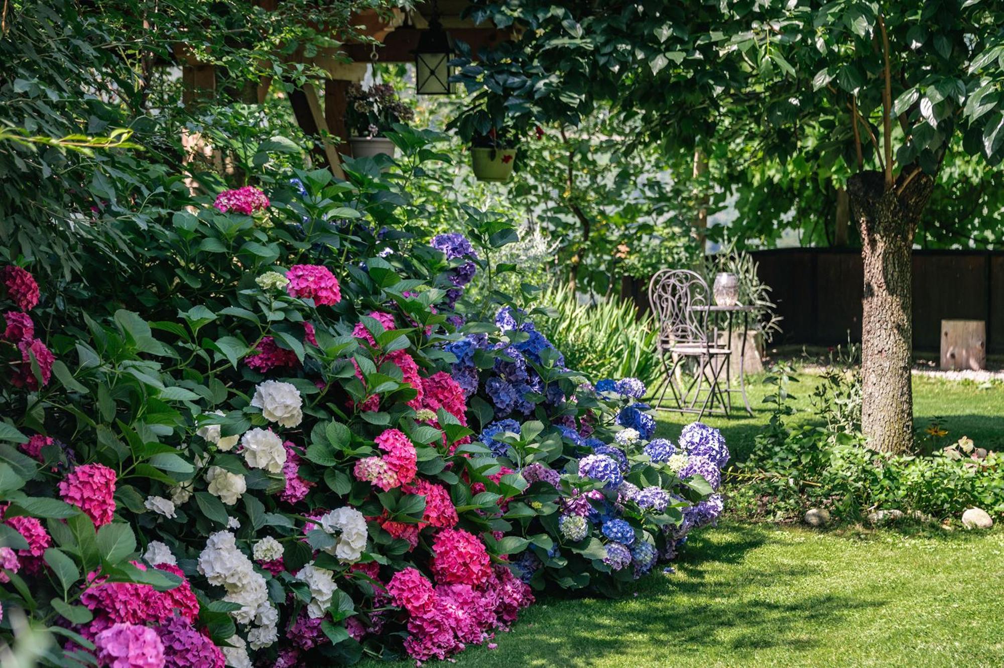 Ursulas Idyll ซัลตูซิโอ ภายนอก รูปภาพ